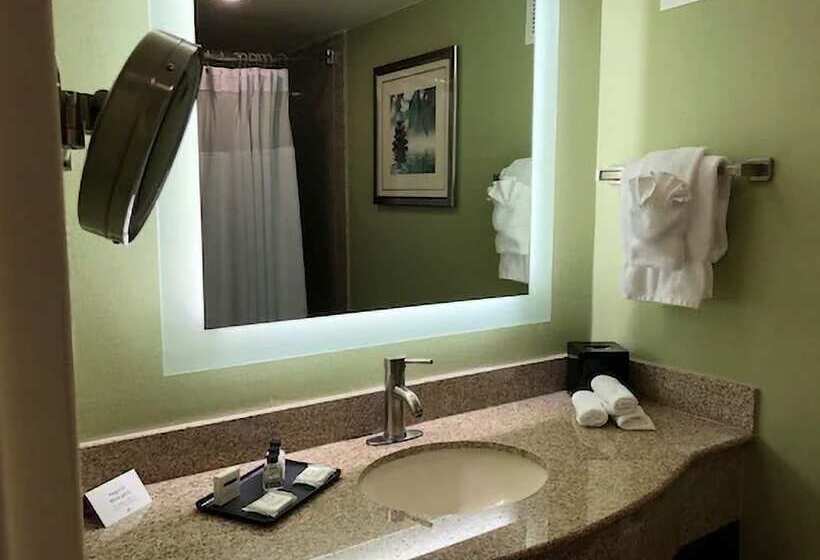 이그제큐티브 룸, Crowne Plaza Hotel Virginia Beach Norfolk, An Ihg