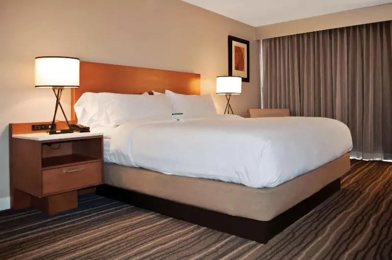 اتاق استاندارد با تخت بزرگ, Doubletree By Hilton Helena Downtown