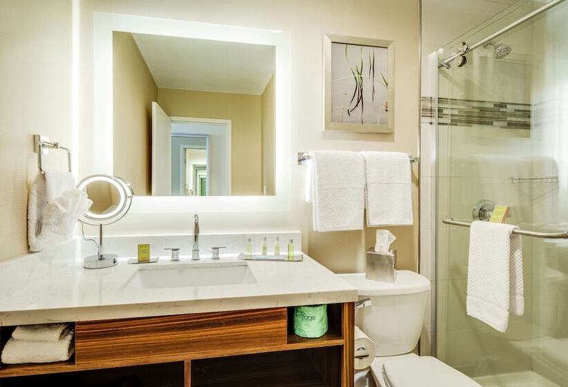 غرفة قياسية سرير مزدوج, Doubletree By Hilton Huntington