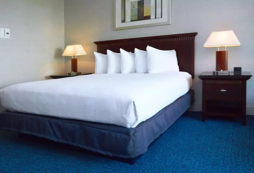 سوییت جونیور, Doubletree By Hilton Newarkfremont