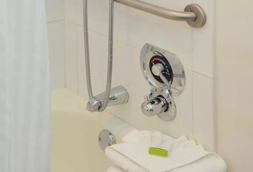 اتاق استاندارد با تخت بزرگ برای معلولان, Doubletree By Hilton Newarkfremont