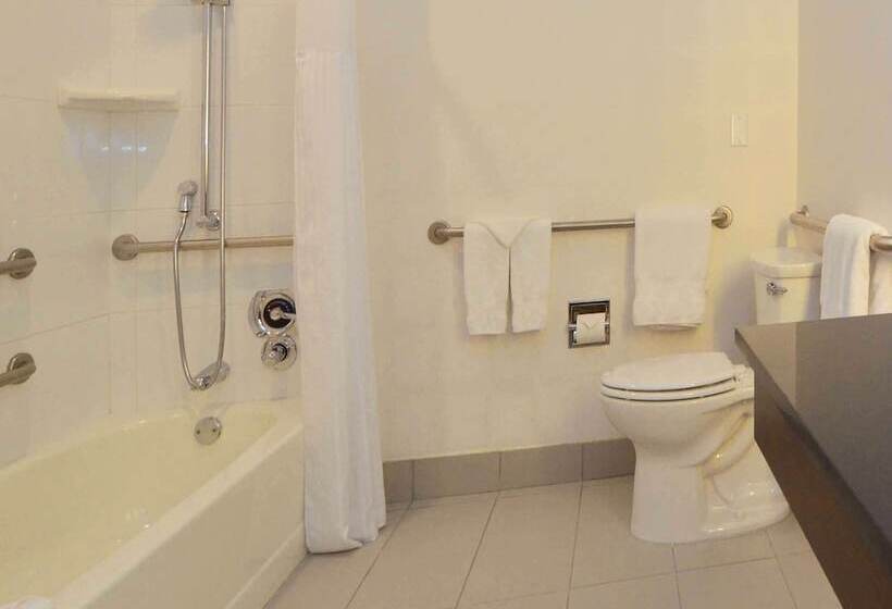 身障者適用キングサイズベッドルーム, Doubletree By Hilton Newarkfremont