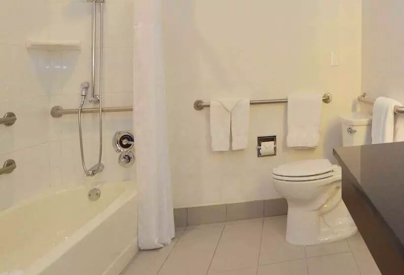 اتاق استاندارد با تخت بزرگ برای معلولان, Doubletree By Hilton Newarkfremont