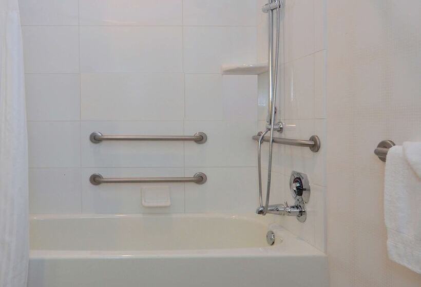 身障者適用キングサイズベッドルーム, Doubletree By Hilton Newarkfremont