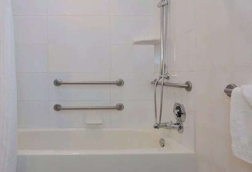 اتاق استاندارد با تخت بزرگ برای معلولان, Doubletree By Hilton Newarkfremont