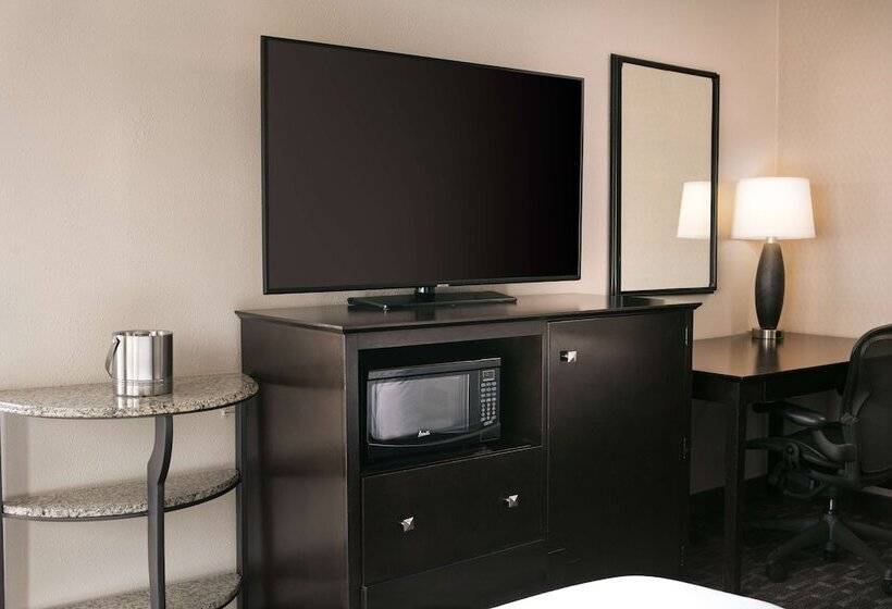 带2个双人床的标准工作室, Doubletree By Hilton Dallas   Market Center