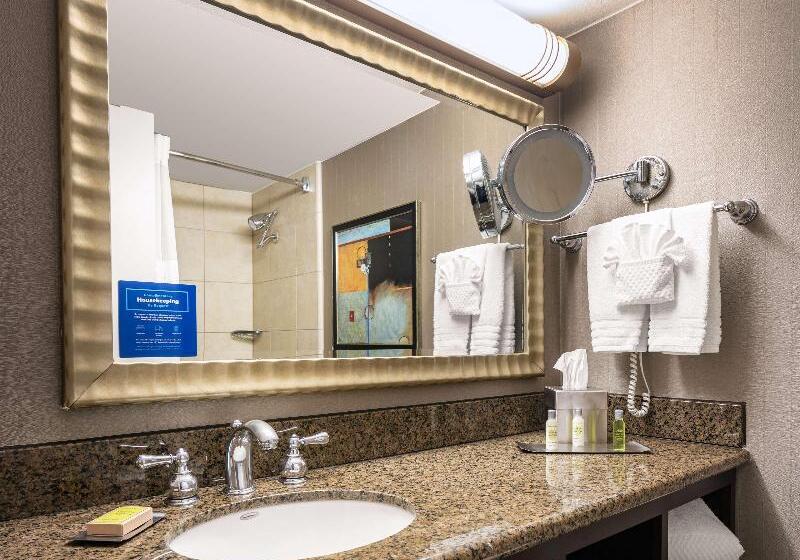 バルコニー付きスタンダードルーム, Doubletree By Hilton Dallas   Market Center