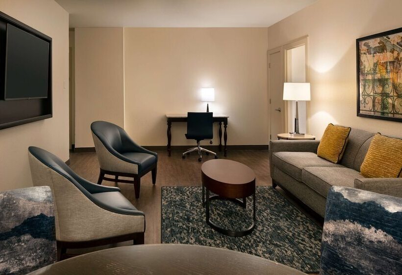 سوییت اجرایی, Embassy Suites By Hilton New Orleans
