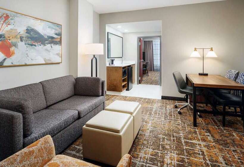 Номер Стандарт, Embassy Suites By Hilton Orlando International Dr Conv Ctr