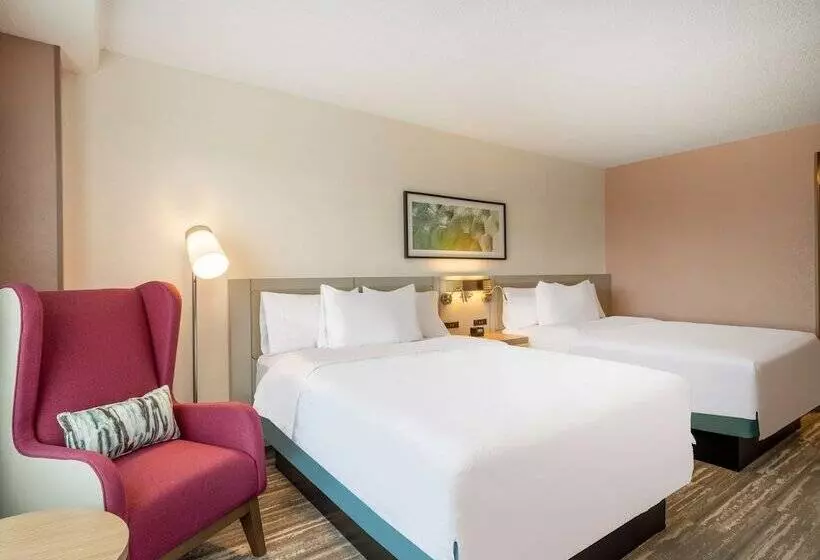 ２ダブルベッドのスタンダードルーム, Hilton Garden Inn Toledo Downtown