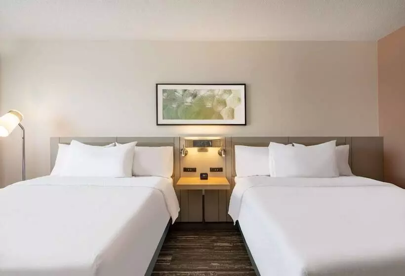 ２ダブルベッドのスタンダードルーム, Hilton Garden Inn Toledo Downtown