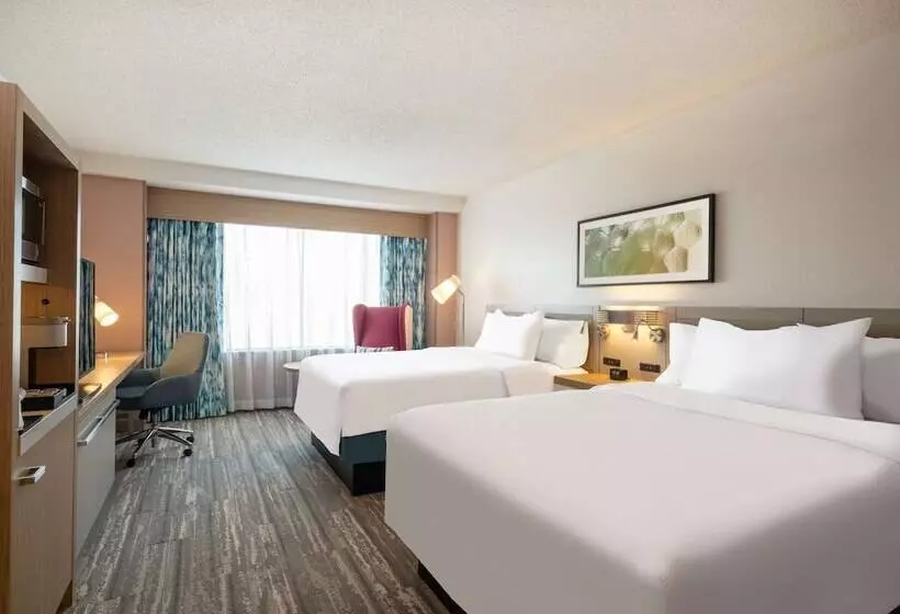 ２ダブルベッドのスタンダードルーム, Hilton Garden Inn Toledo Downtown