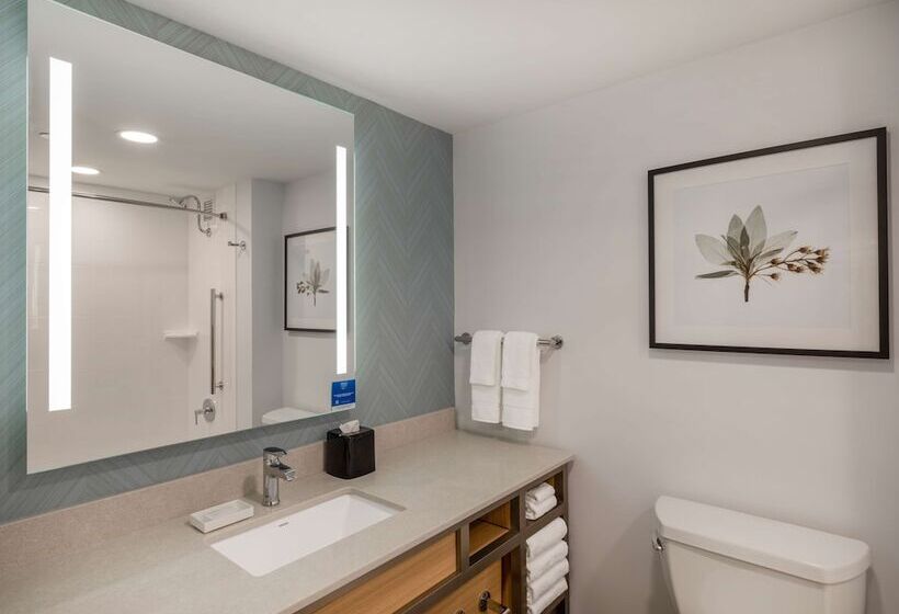 2ダブルベッドのスタンダードルーム, Hilton Garden Inn Toledo Downtown