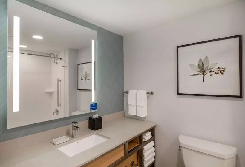 ２ダブルベッドのスタンダードルーム, Hilton Garden Inn Toledo Downtown