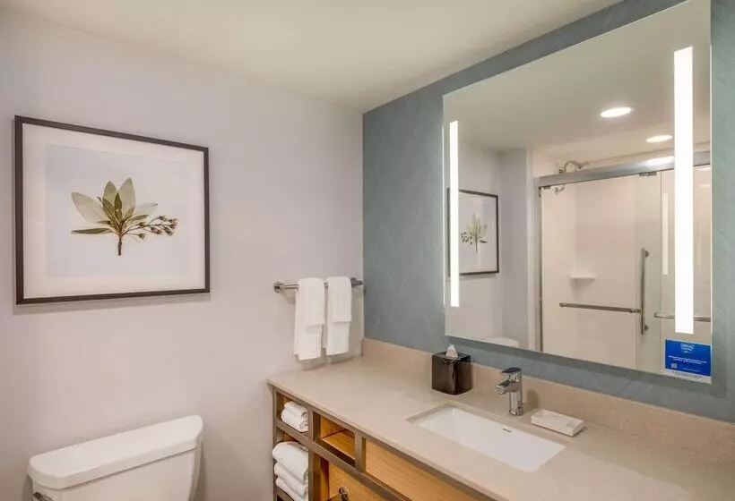 ２ダブルベッドのスタンダードルーム, Hilton Garden Inn Toledo Downtown