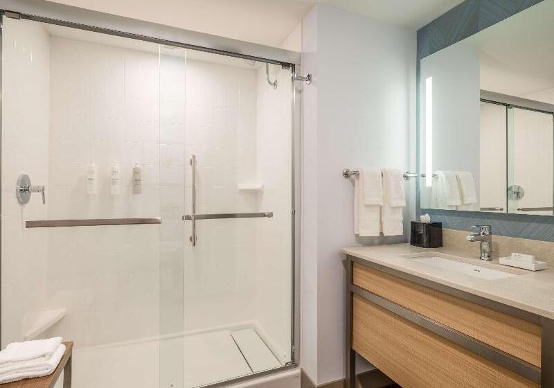 キングサイズベッドのスタンダードルーム, Hilton Garden Inn Toledo Downtown