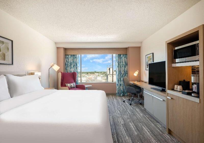 Стандартный Номер Кровать Кинг, Hilton Garden Inn Toledo Downtown