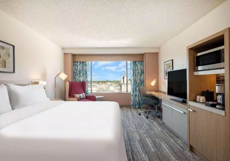キングサイズベッドのスタンダードルーム, Hilton Garden Inn Toledo Downtown
