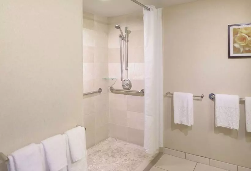 اتاق دلوکس مخصوص معلولین, Hilton Waikiki Beach Resort & Spa