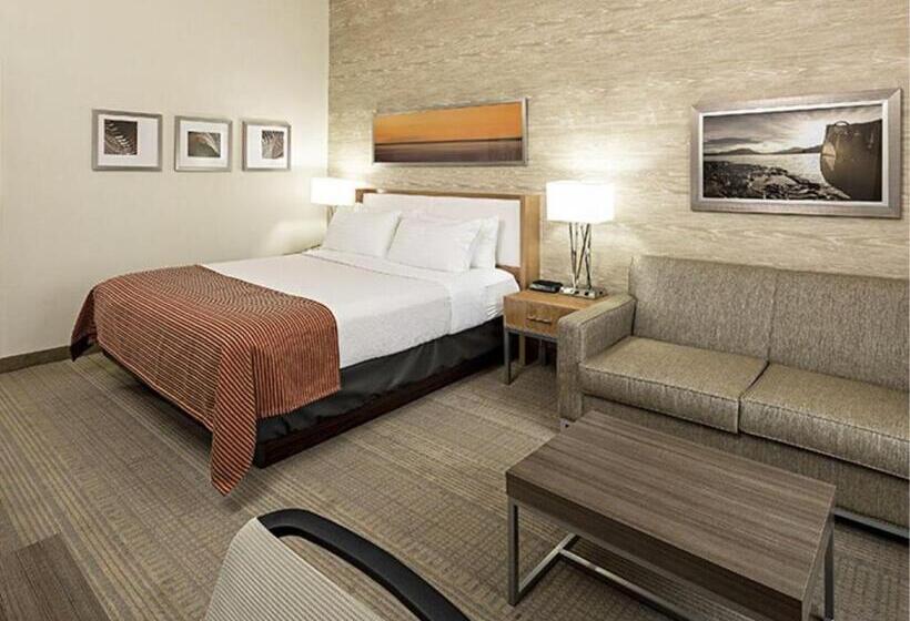 带大床的标准间, Iris Hotel Cape Cod