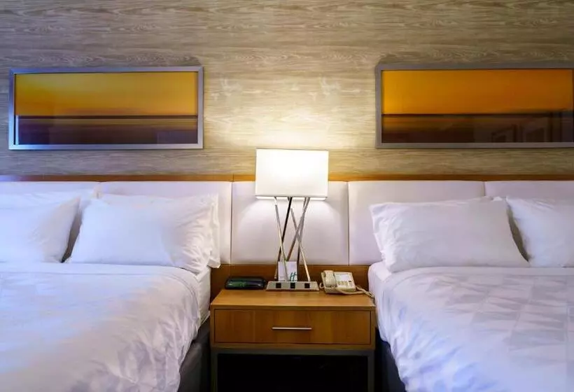 身障者適用スタンダードルーム, Iris Hotel Cape Cod