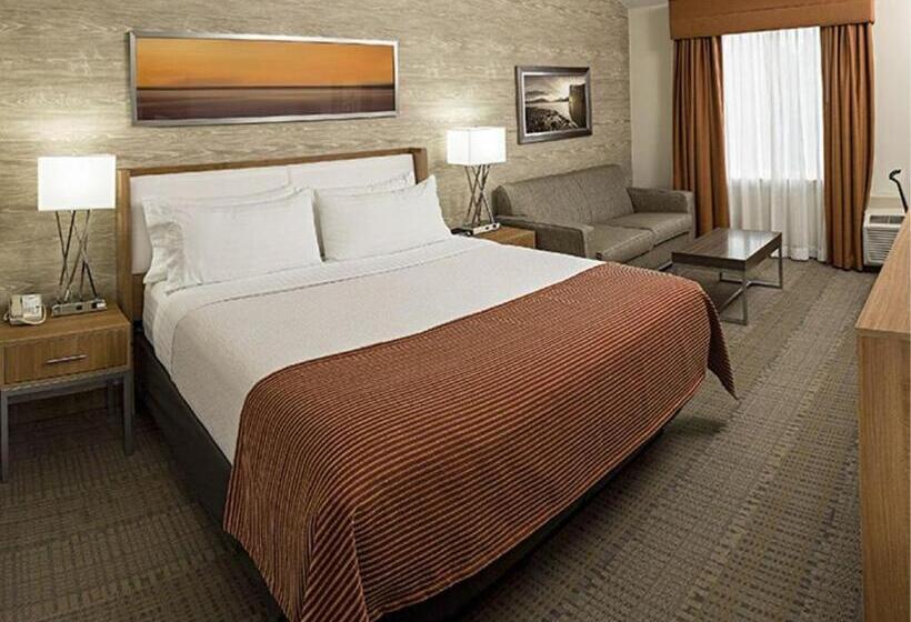 带大床的标准间, Iris Hotel Cape Cod