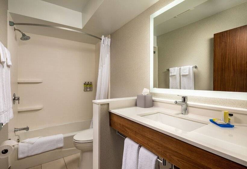 Номер Стандарт, Holiday Inn Express & Suites Chatsworth, An Ihg