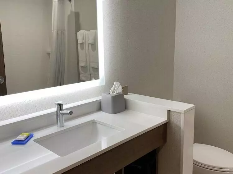 اتاق استاندارد, Holiday Inn Express & Suites Chatsworth, An Ihg
