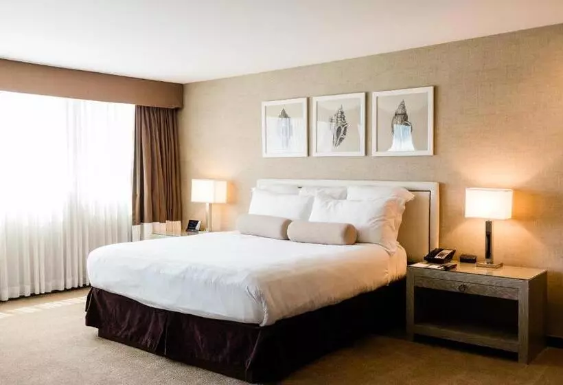 اتاق لوکس با تخت بزرگ, Luxe Sunset Boulevard