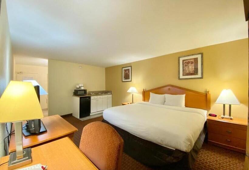 シングルデラックスルーム, Ocotillo Inn