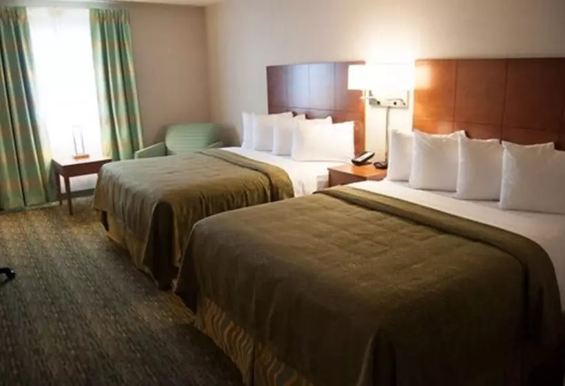 2ダブルベッドのスタンダードルーム, Quality Inn