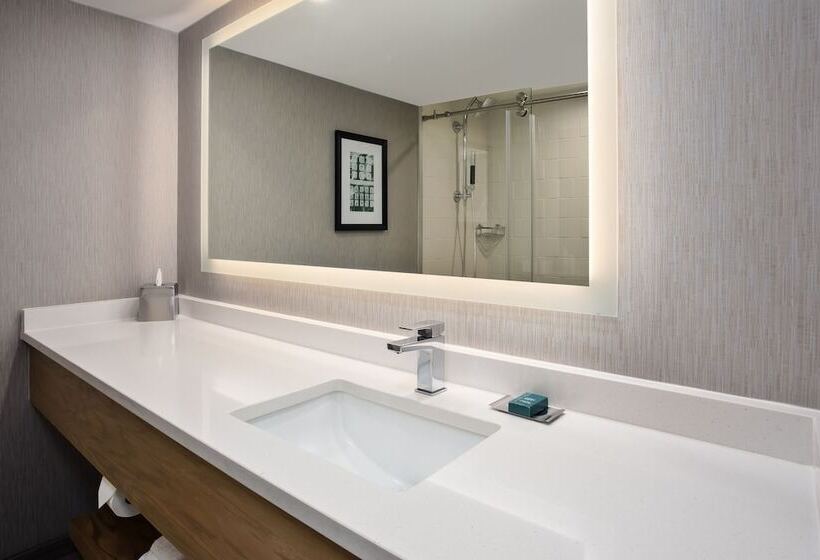 غرفه قياسيه سريرين مزدوجين, Doubletree By Hilton Lansing