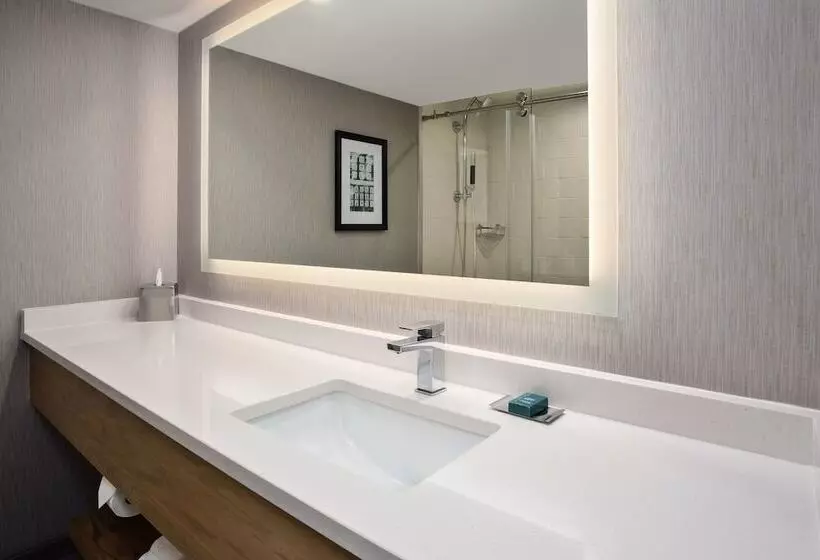 Standard Værelse 2 Dobbeltsenge, Doubletree By Hilton Lansing