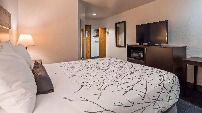 Standard Værelse King Size Seng, Doubletree By Hilton Lansing
