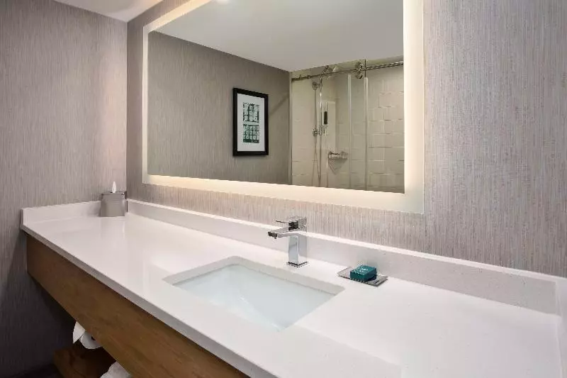 Standard Værelse King Size Seng, Doubletree By Hilton Lansing