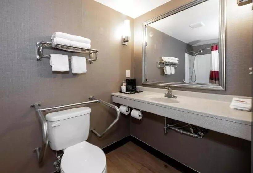 身障者適用スタンダードルーム, Red Roof Inn Fulton