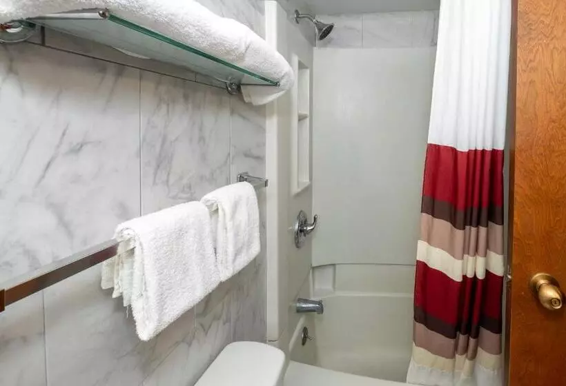 身障者適用キングサイズベッドルーム, Red Roof Inn Fulton