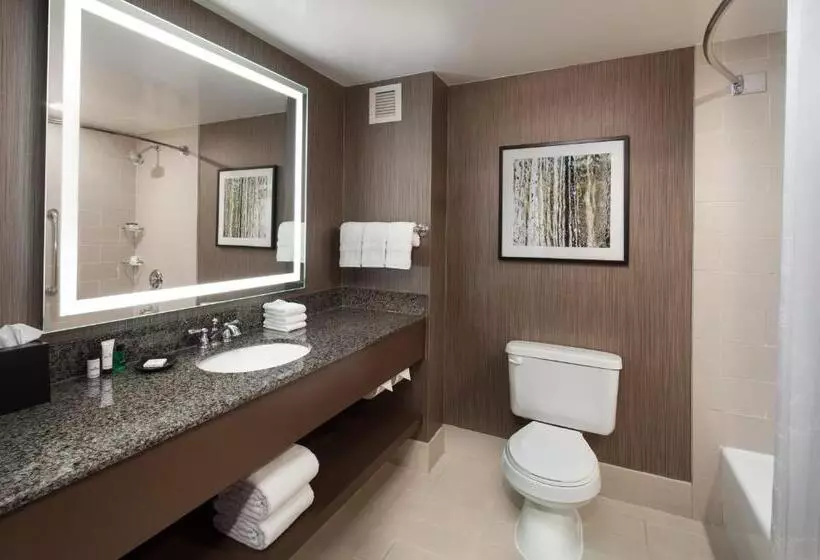 اتاق استاندارد با تخت بزرگ, Sheraton Agoura Hills