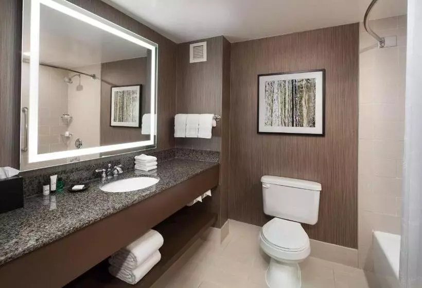 اتاق کلاب, Sheraton Agoura Hills