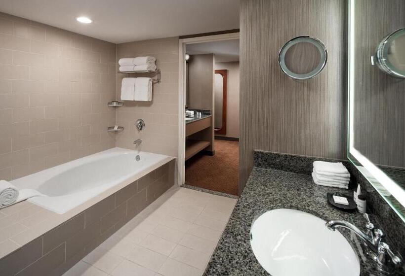 キングサイドベッドのスタンダードワンルーム, Sheraton Agoura Hills