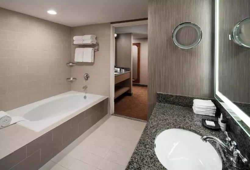 استودیو استاندارد با تخت کینگ, Sheraton Agoura Hills