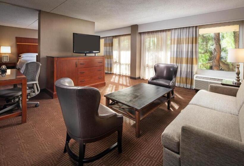 סטודיו סטנדרט, מיטה זוגית, Sheraton Agoura Hills