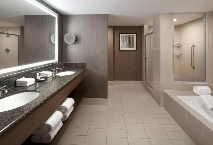 سوئیت اجرایی با تخت کینگ, Sheraton Agoura Hills