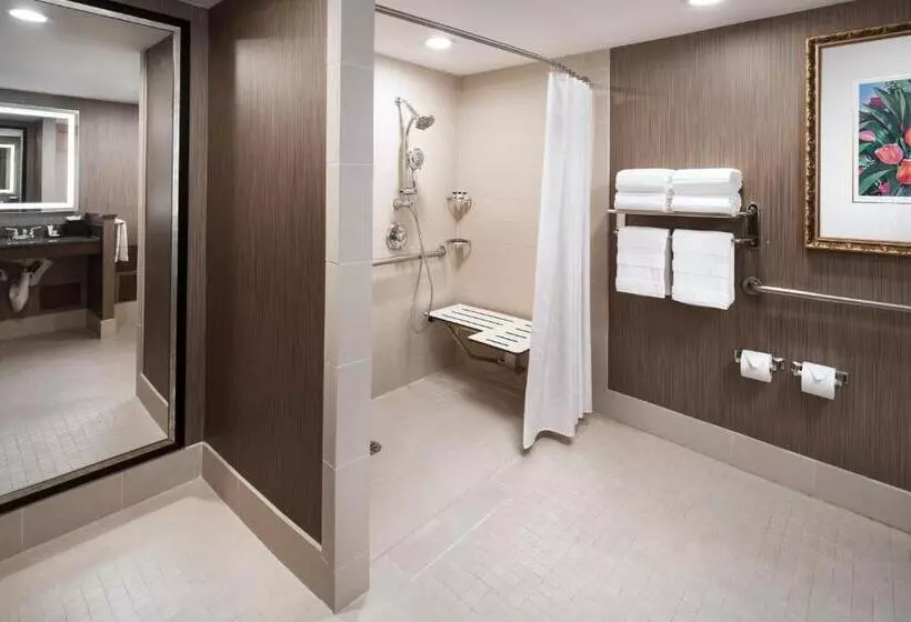 سوئیت اجرایی با تخت کینگ, Sheraton Agoura Hills
