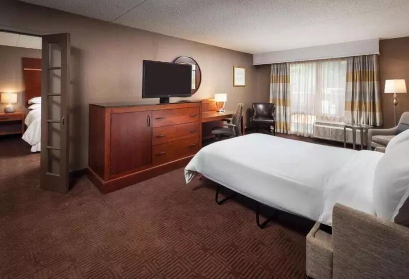 سوئیت اجرایی با تخت کینگ, Sheraton Agoura Hills