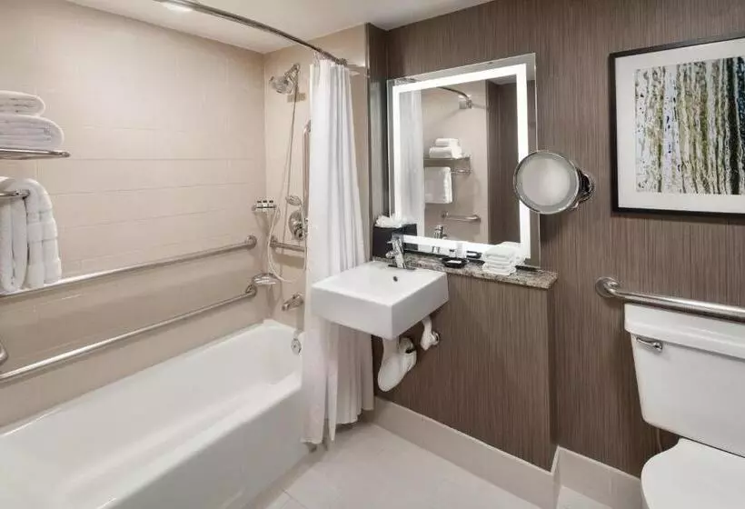 اتاق استاندارد با تخت بزرگ برای معلولان, Sheraton Agoura Hills