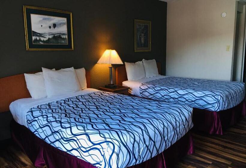 اتاق استاندارد, Bear Mount Inn & Suites