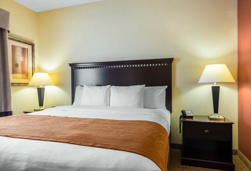 סוויטה, Comfort Suites Cullman I65 Exit 310