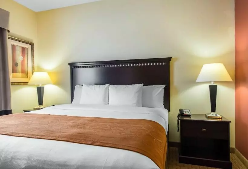 スイート, Comfort Suites Cullman I65 Exit 310