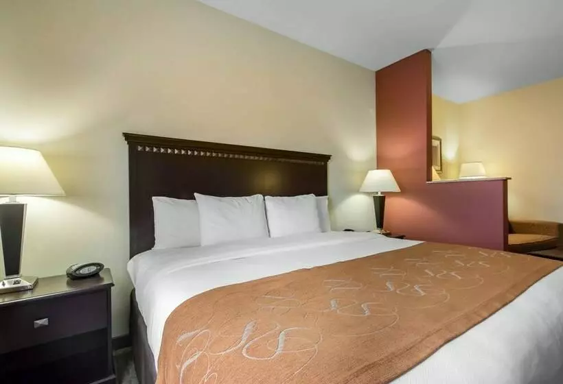 スイート, Comfort Suites Cullman I65 Exit 310